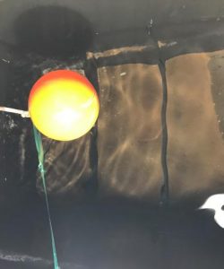 CWST before and after