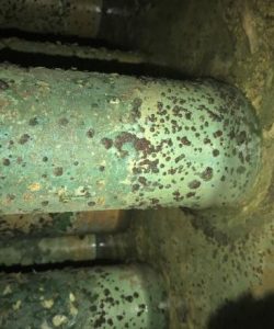 Inside a scaled cylinder (calorifier)